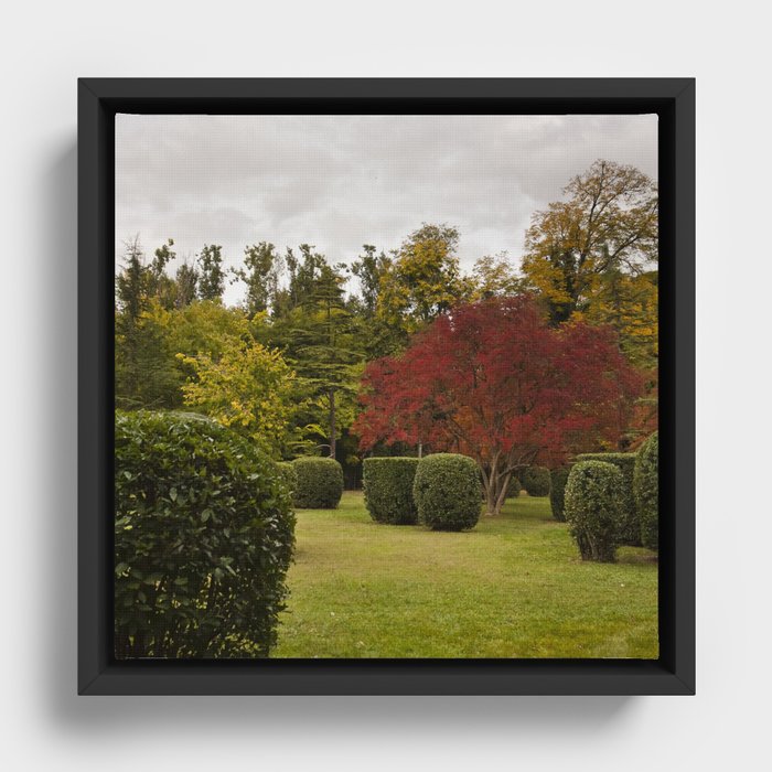 Spain Photography - Beautiful Garden With Hedges And Trees  Framed Canvas