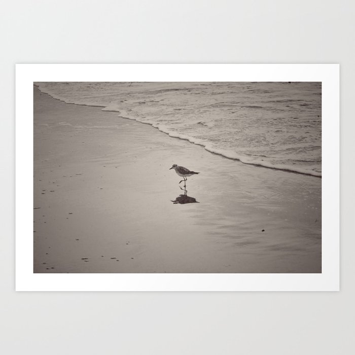 Bird on the beach Art Print
