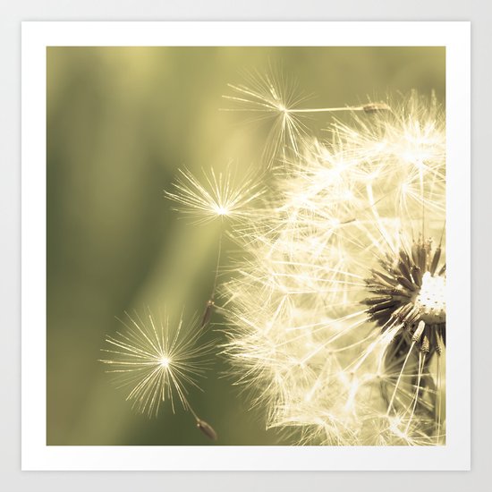 Fly Away Art Print