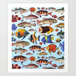 Colorful fish in the ocean Art Print