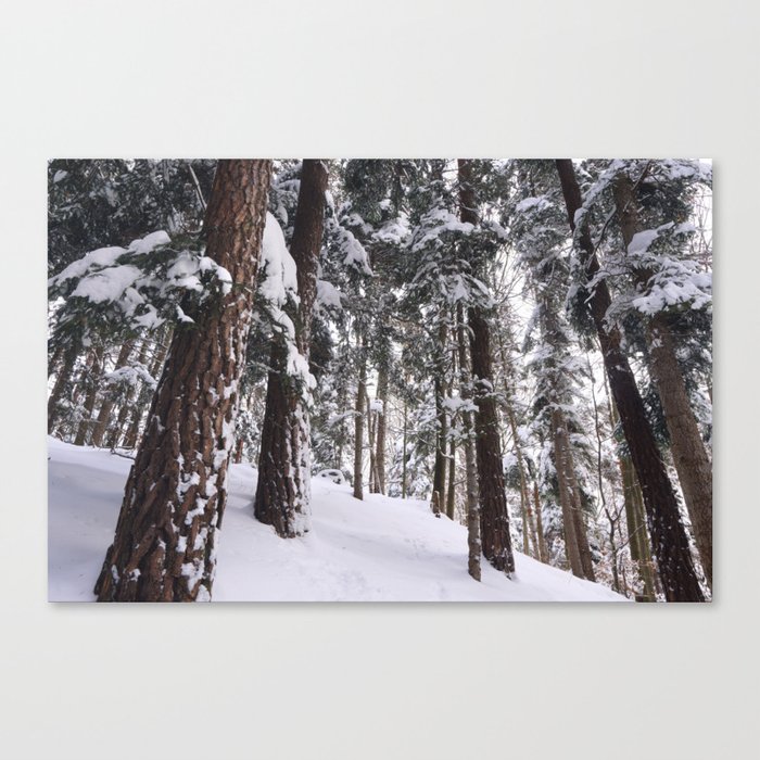 Snowy forest Canvas Print