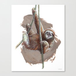 Brown Sloth Canvas Print