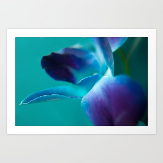Orchid Art Print