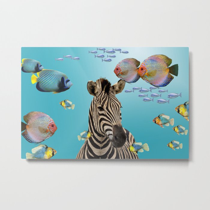 Tropic Fishes with wild Zebra Metal Print