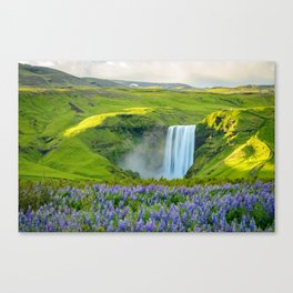 Iceland Skogafoss Summer Waterfall Lupine Wildflowers Landscape Canvas Print