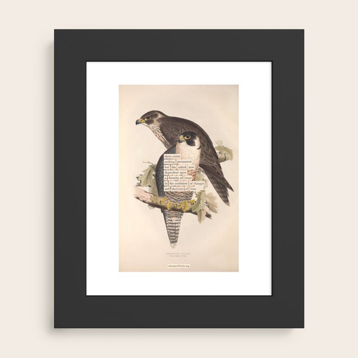 Framed Art Print