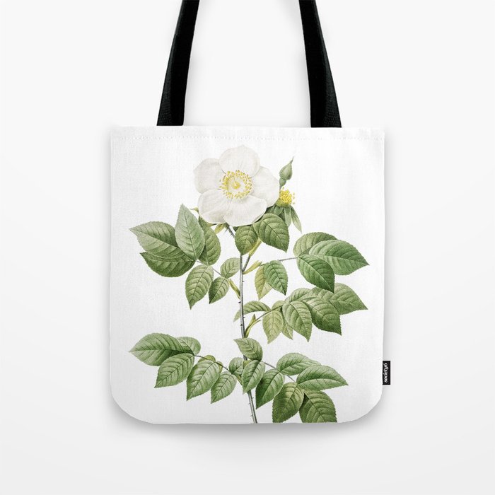 Vintage Leschenault's Rose Botanical Illustration on Pure White Tote Bag