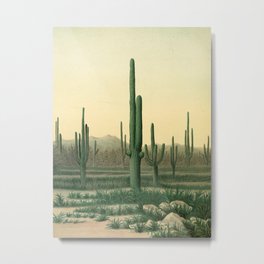 United States Geographical Surveys West of the One Hundredth Meridian - 1875 Cactus Desert Landscape Metal Print | Surveys, Meridian, Onehundredth, Drawing, Ink Pen, Unitedstates, Westofthe, Geographical,  1875, Graphite 