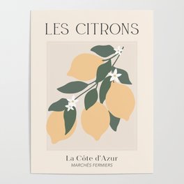 Les Citrons Fruit Market France Poster