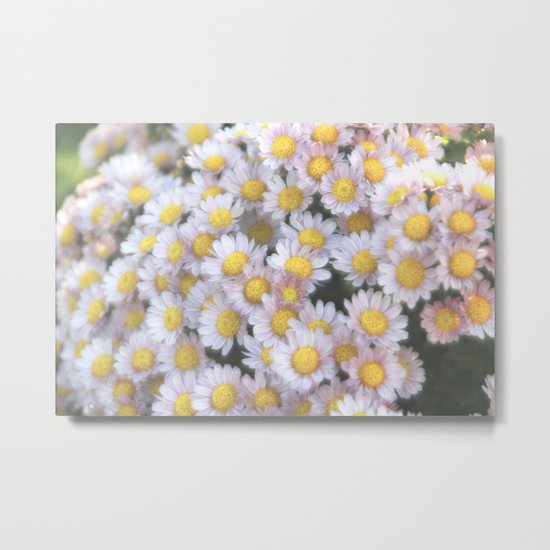 the gift ~ Metal Print