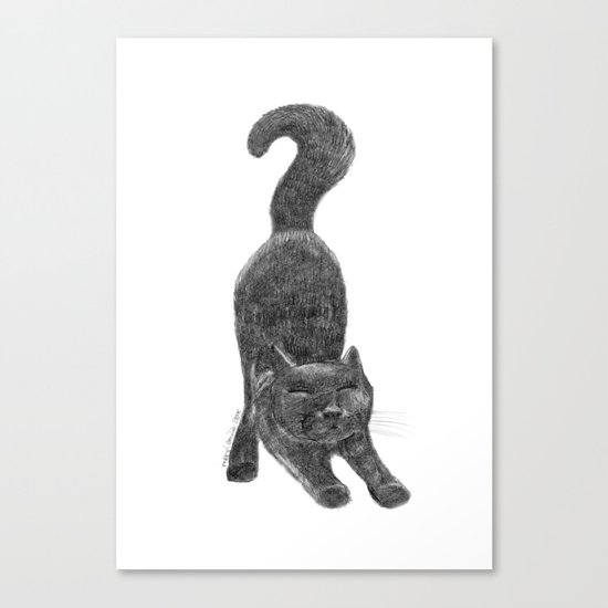 CAT I - pencil illustration Canvas Print