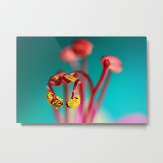 Geranium Lemon Drops Metal Print