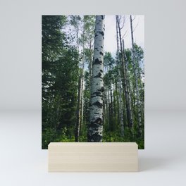 Birch Tree Forest Landscape Mini Art Print