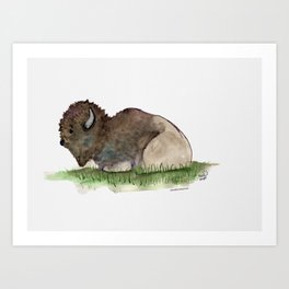 Bison Art Print