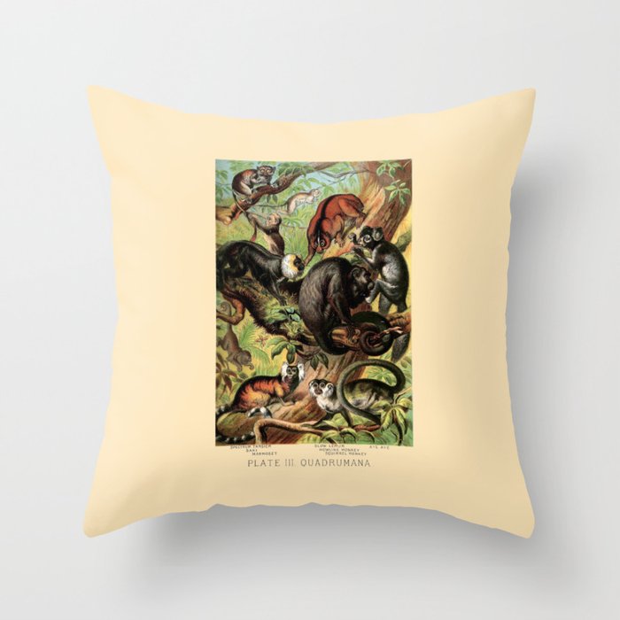Throw Pillow