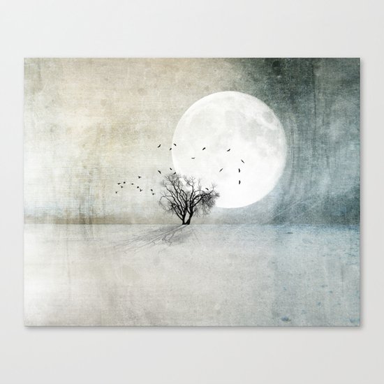 Only the Moon Knows Canvas Print