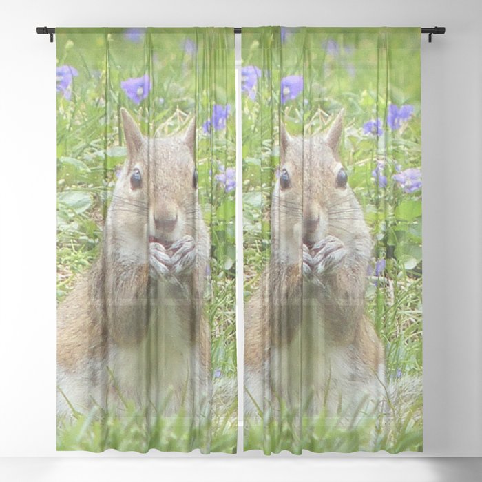 Squirrel Amongst Wild Violets Sheer Curtain