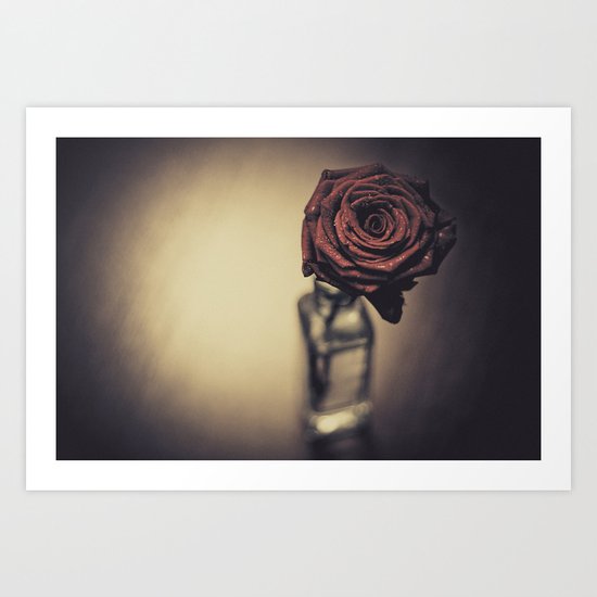 Fragile Art Print
