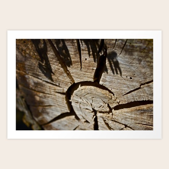 Radiance Art Print