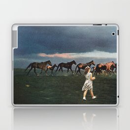 Into the Sunset Laptop Skin