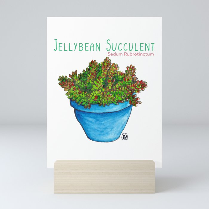 Jellybean Succulent Mini Art Print