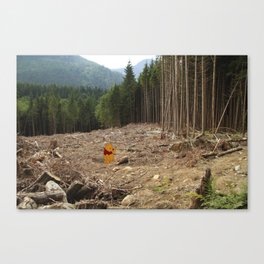 The Hundred Acre Deforestation Canvas Print