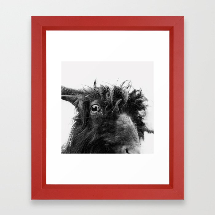 Charlie The Goat Framed Art Print By Doritfuhg Society6