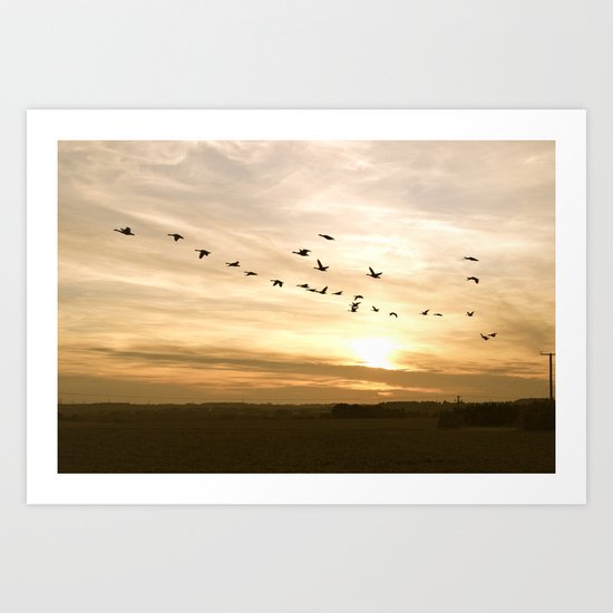 Geese Art Print