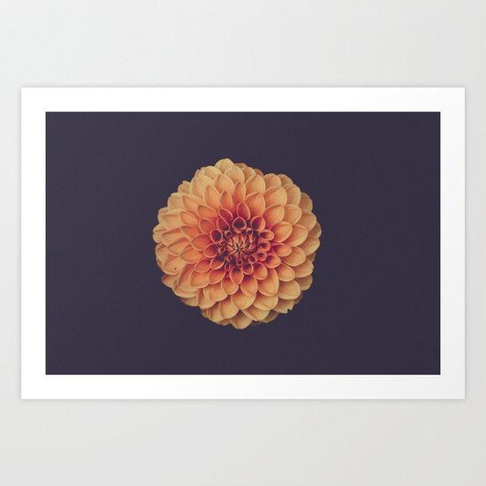 Yellow Flower Petals Art Print