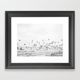 "Seagulls" | Coastal black and white photo | Film photography | Beach Framed Art Print