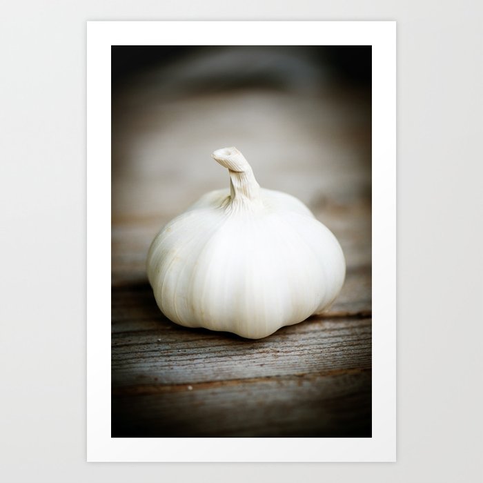 Kitchen art - Garlic Art Print