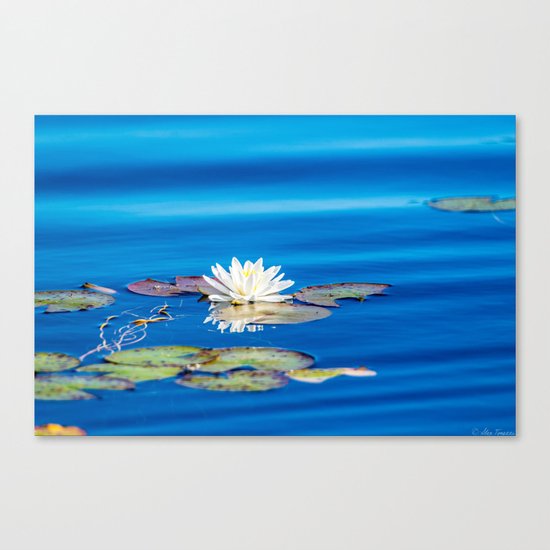 Cool Blues Canvas Print