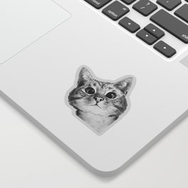 sneaky cat Sticker | Curated, Digital, Popart, Peeking, Corner, Cat, Animal, Design, Sneaky, Black and White 
