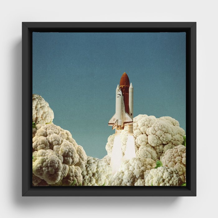 Framed Canvas