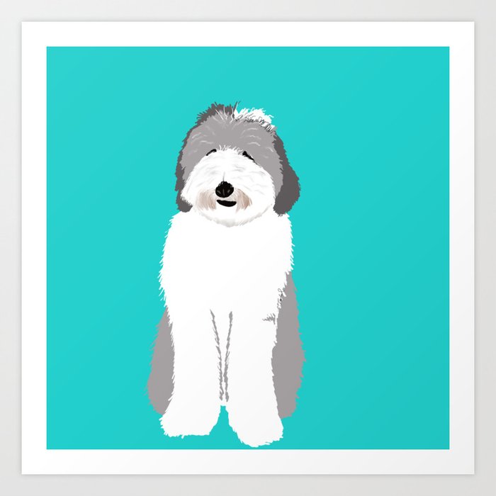 Lucy The Sheepadoodle Art Print