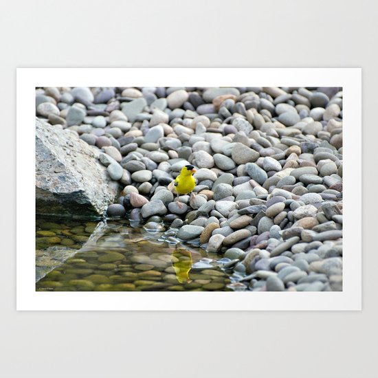Golden Reflections Art Print