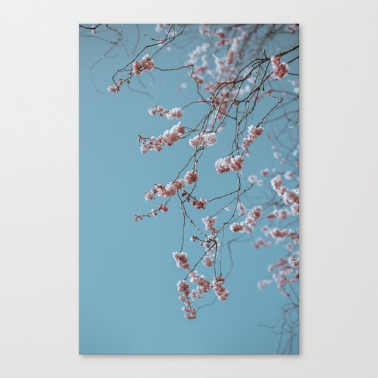 spring colors Canvas Print