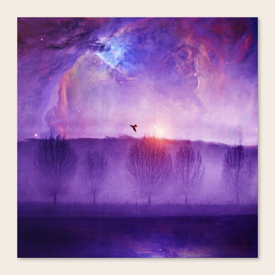 Orion nebula II Canvas Print