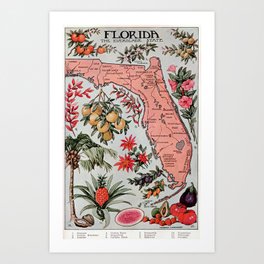 Florida Vintage Poster (1917) Art Print