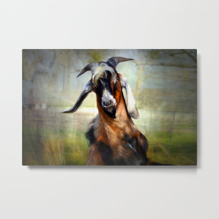 Billy Goat Metal Print By Venny Society6
