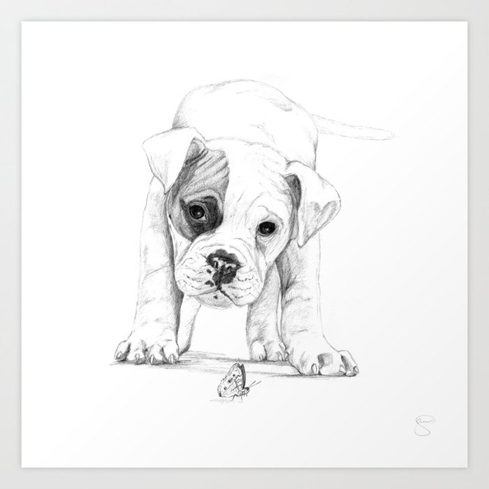Patch, A Boxer Puppy :: Shelter Dog Project Art Print