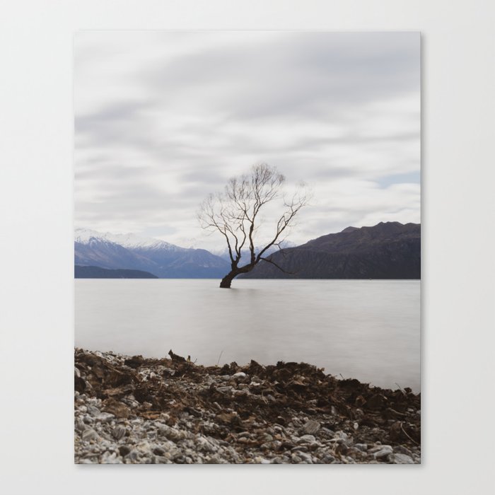 That Wanaka Tree in Winter // Otago NZ Photography Art Print Canvas Print