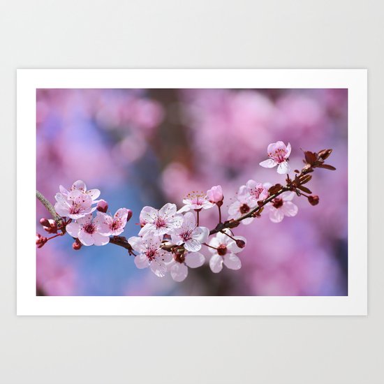 Pink...... Art Print
