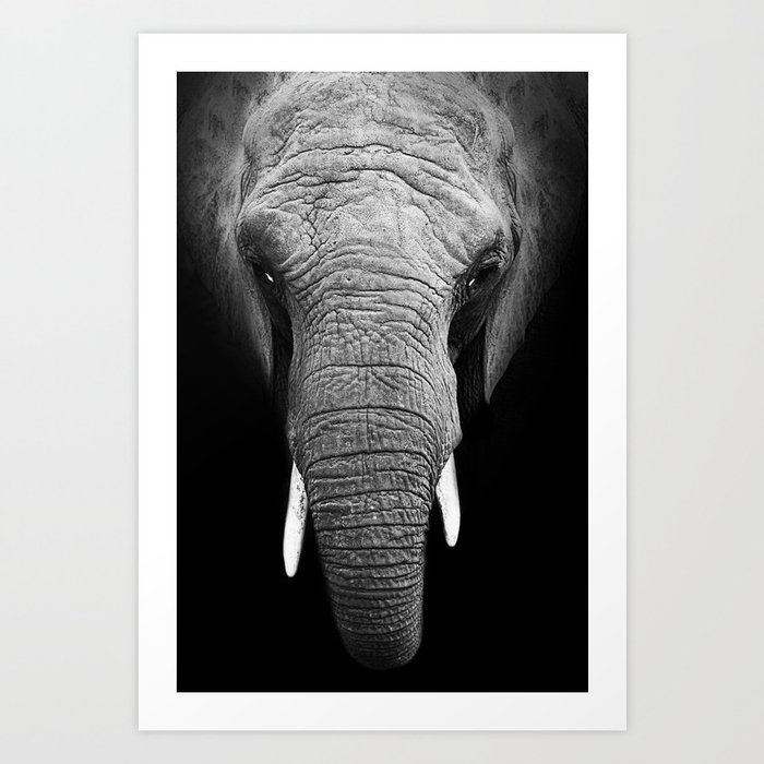 Black and white elephant Art Print