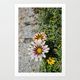 Summer flowers Art Print | Flowers, Natural, Colors, Sun, Digital, Beautiful, Photo, Yellow, Sunny, Nature 