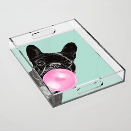 Bubble Gum Sneaky French Bulldog in Green Acrylic Tray
