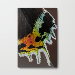 Wing of a Madagascan Sunset Moth, Shimmering with the Vivid Imagination of Nature Metal Print