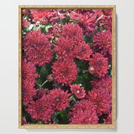Ruby Red Mums Serving Tray