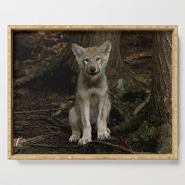 Baby Timber Wolf Serving Tray