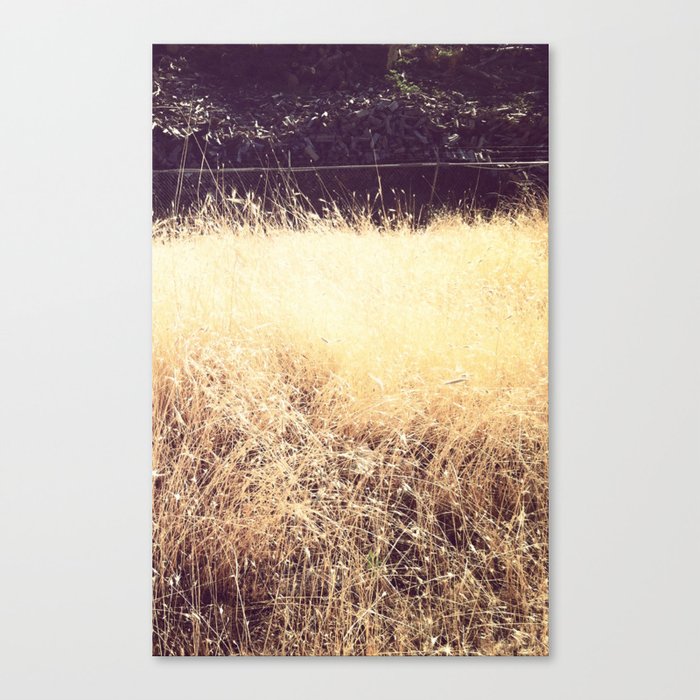 Wheat Canvas Print